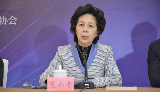 范小青：江蘇網(wǎng)絡文學已成為中國網(wǎng)絡文學重要方陣