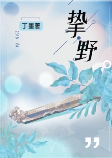 丁墨《摯野》 發(fā)表網(wǎng)站：云起書(shū)院 《摯野》將音樂(lè)筑夢(mèng)與愛(ài)情圓夢(mèng)巧妙地結(jié)合起來(lái)，表現(xiàn)當(dāng)代青年在喧囂生活中對(duì)愛(ài)情的執(zhí)著與堅(jiān)守。作品在浪漫的人生況味中隱含了積極的思想意義，情節(jié)設(shè)置出人意料又合情合理，敘事嫻熟，以獨(dú)特的浪漫意味在都市愛(ài)情寫(xiě)作中自成一格。	