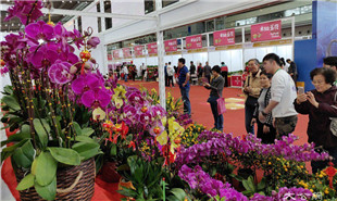 靠花卉引客，也靠“花外留客”