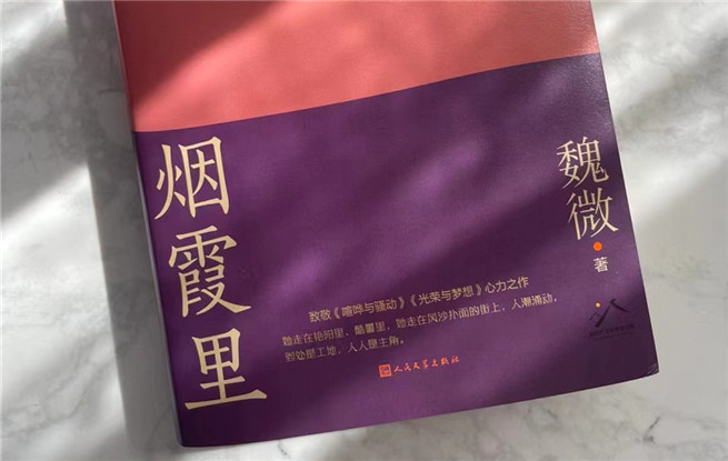 【特約評論】魏微：抒情為表，史詩為里
