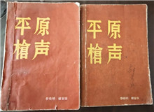 從未遠去的“平原槍聲”　　合上《平原槍聲》最后一頁，初聽現(xiàn)實中肖張鎮(zhèn)這個地名，心頭不禁一震：莫不是小說中的肖家鎮(zhèn)？[詳細]